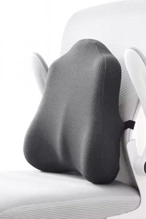 Restime-Cushions,Extra Dense Lumbar Pillow -Region Firm Back Support for Lower Back Pain Relief - Lumbar Support Cushion with Strap for Office Chair, Car, Sofa, Plane - Black